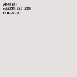 #E6E1E1 - Bon Jour Color Image